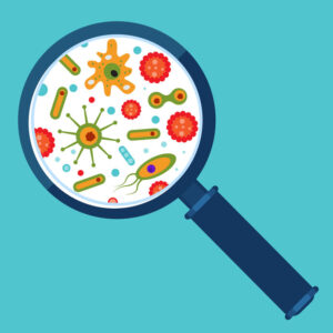 La Cosméteuse  le microbiome cutané le microbiote